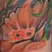 Tattoos - Wedding Rings in Shell - 52960